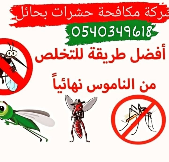 شركة مكافحة حشرات  بحائل 0540349618  #بحائل0540349618
شركة رش مبيدات #حائل
رش مبيدات حشرية #حائل_الان
ارخص اسعار مكافحة الحشرات   #حائل_الاجمل
افضل شركات مكافحه حشرات #بحائل_السعودية
 حشرات بحائل (0540349618) #حائل_الأن
مكافحة النمل الأبيض بحائل
مكافحة الصراصير بحائ