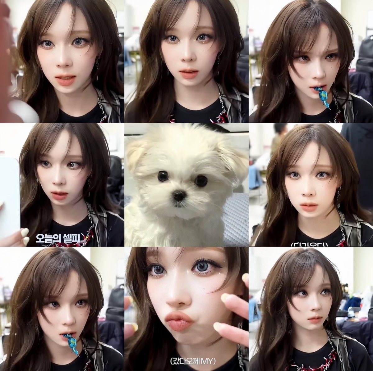 diversqi's tweet photo. こいぬ ｡( + minjeong ) 🐾❔ https://t.co/ej9YpEBo3m