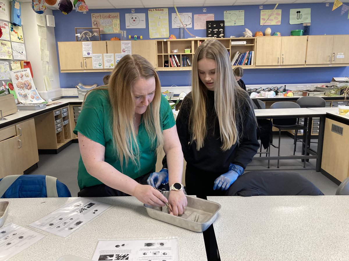 MillburnScience tweet media