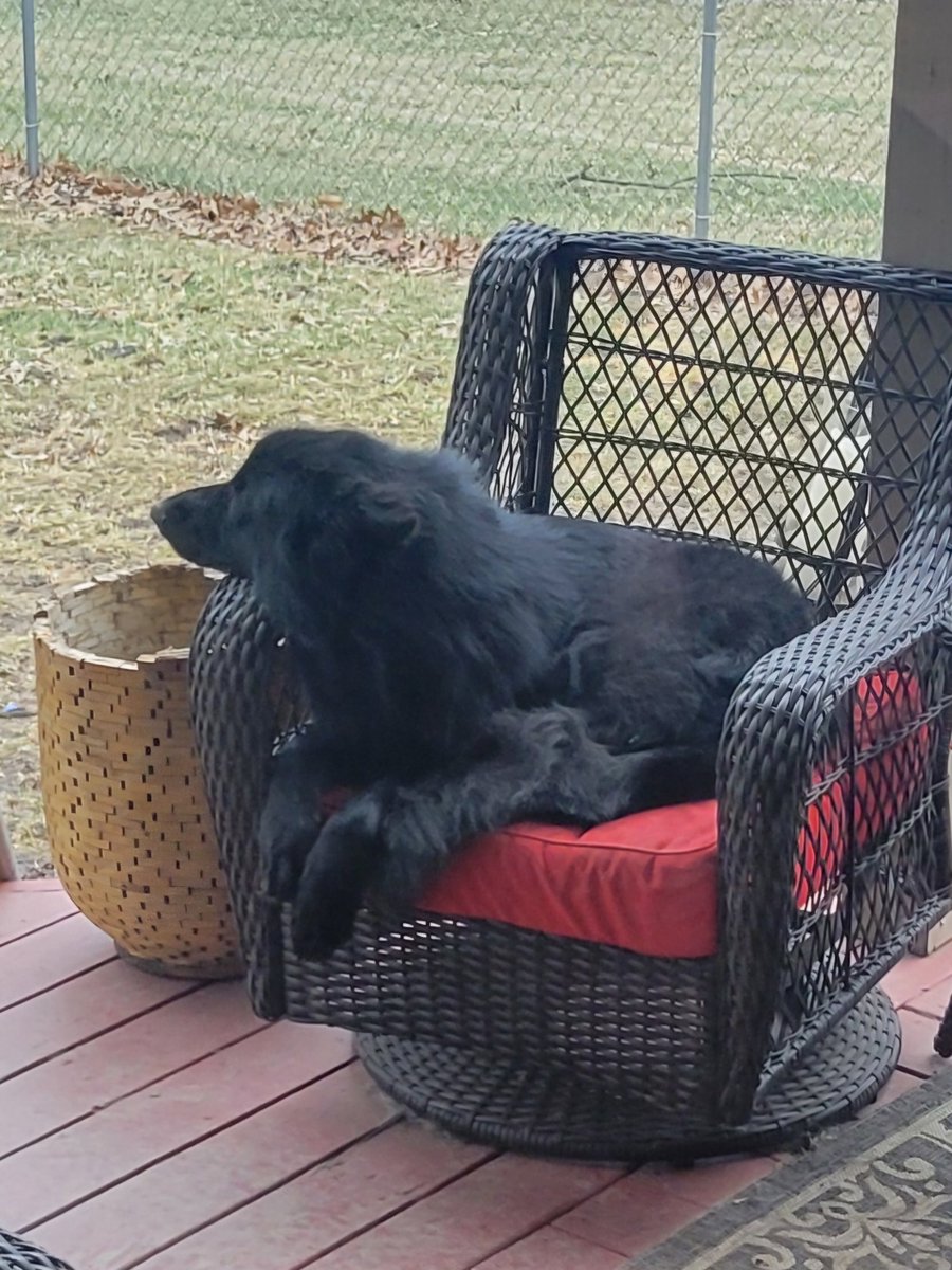 I wonder what he's thinking about.