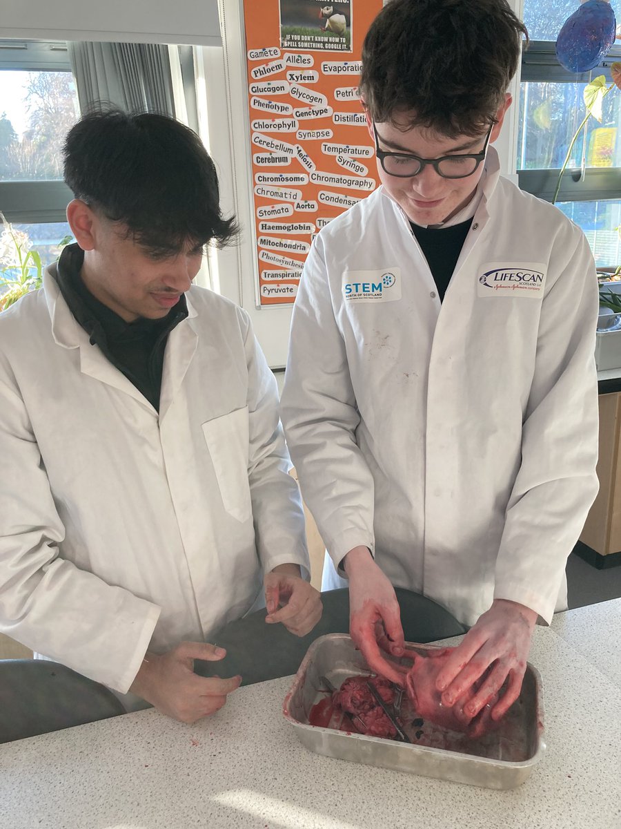 MillburnScience tweet media