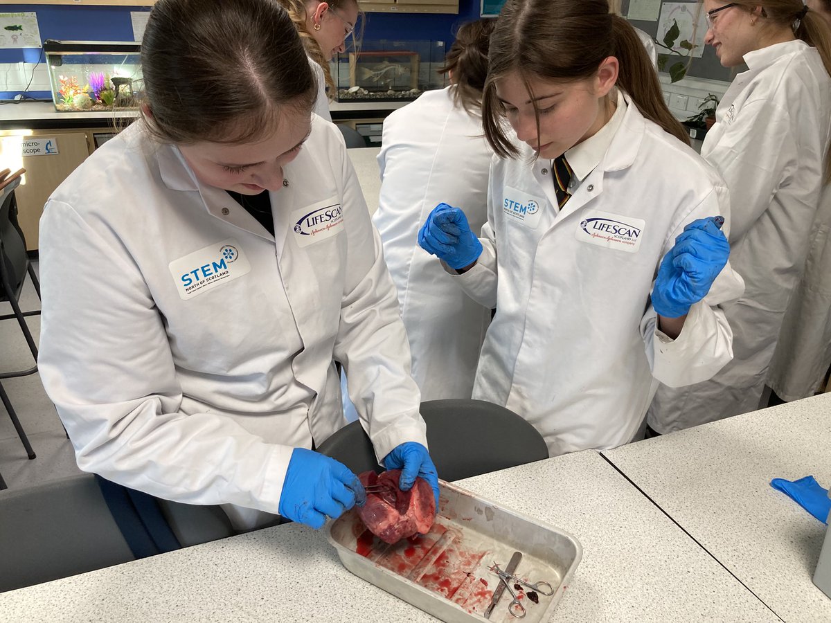 MillburnScience tweet media