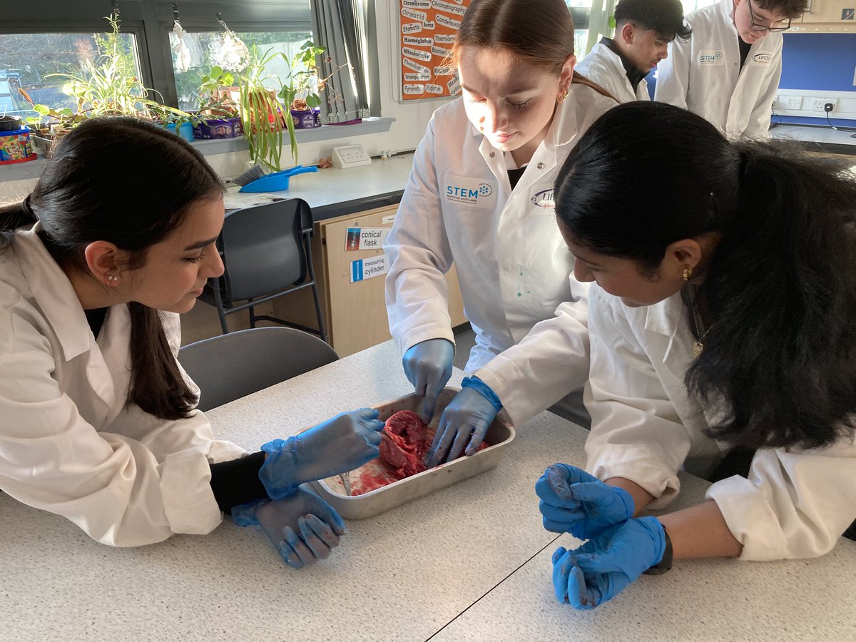 MillburnScience tweet media