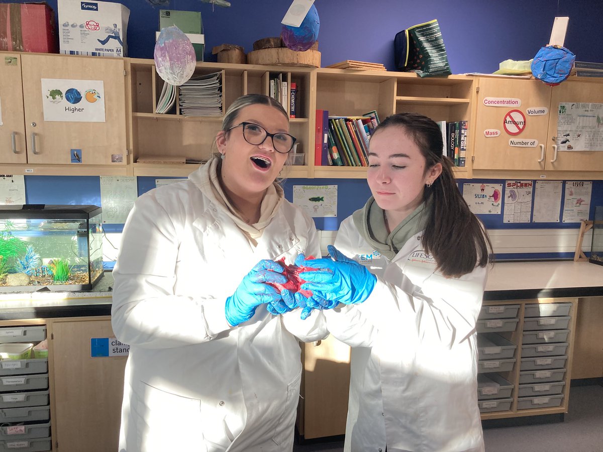 MillburnScience tweet media