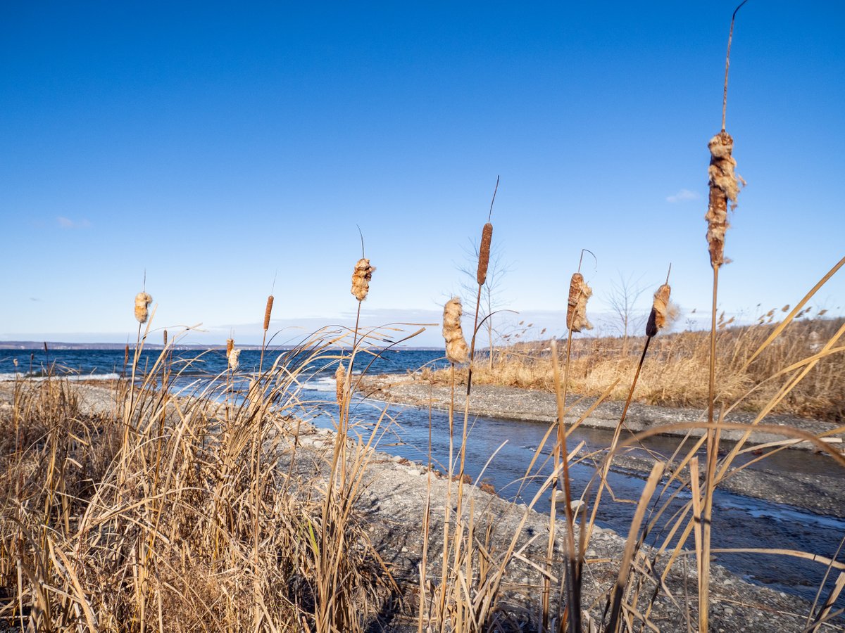 🌄 Join us for an online presentation on Wednesday, March 12 at 7:30 PM. FLLT President Andy Zepp will discuss our current projects, initiatives, and conservation challenges. 

🌎 Learn more and register: fllt.org/events
📷 Photo by Chris Ray