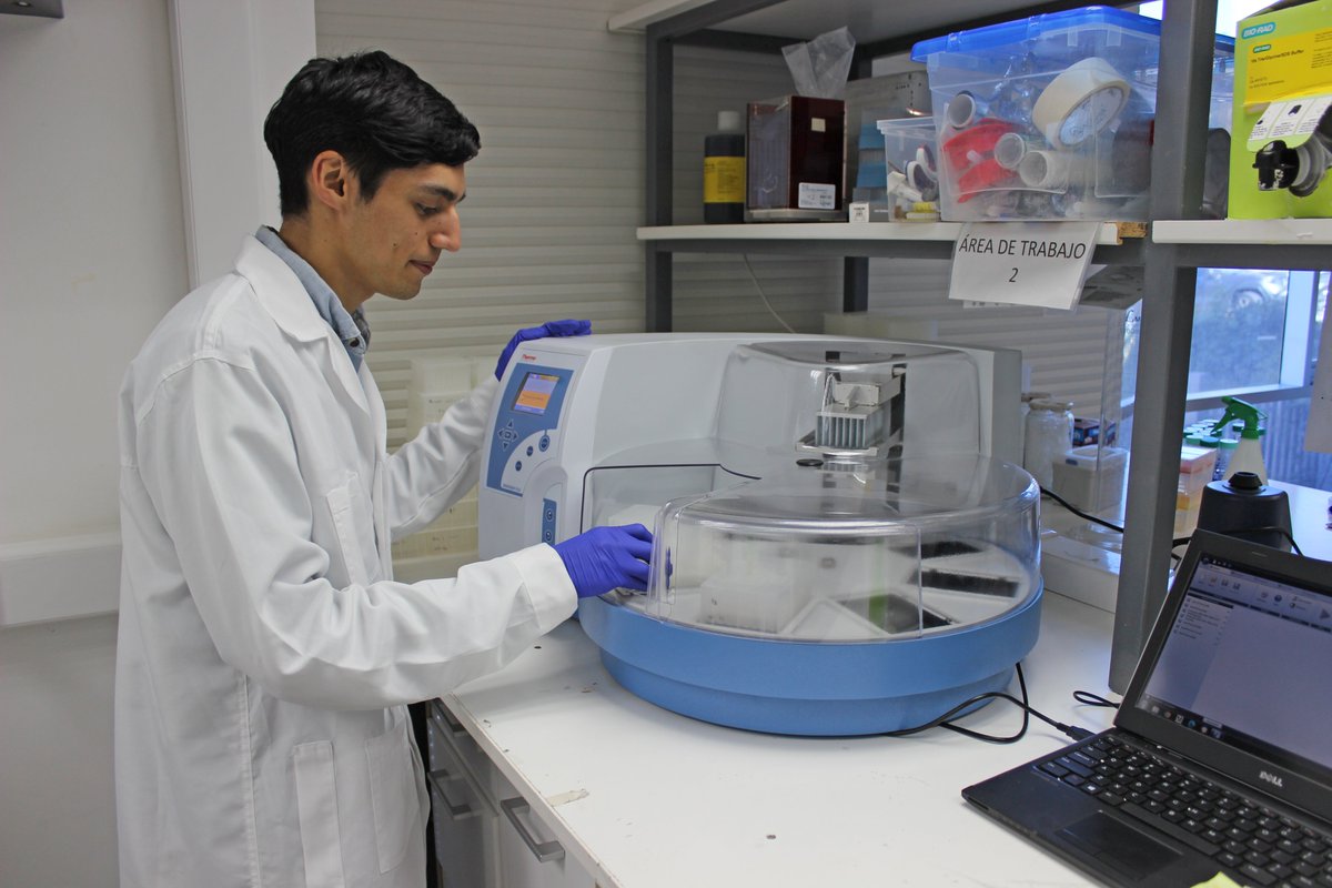 MELISA Institute tweet media