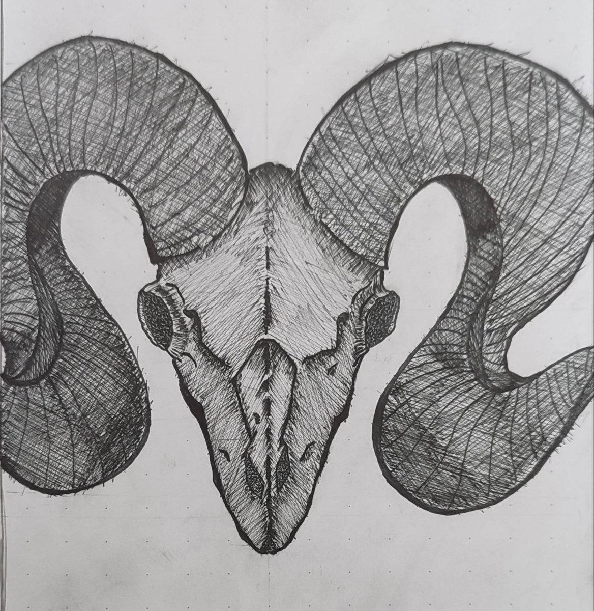 UsoppVent's tweet photo. I'm still searching for #artmoots 

#skull #horn https://t.co/jDYUpg08c8