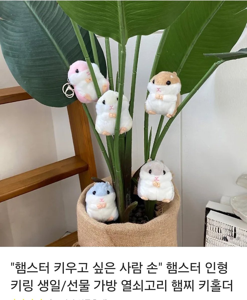 #RT 제가 교님을 좋아하게 된지 내일이면 벌써 200일이네요! 지금까지 저랑 함께해준 분들께 감사드릴겸... 교님을 닮은 햄스터를 준비했어요. rt 추첨 한 분을 뽑아 아래 물품중 하나 드리겠습니다
🐹당발: 2025. 02. 15 이후
트친 한정 ❌️
영수증 한정⭕️