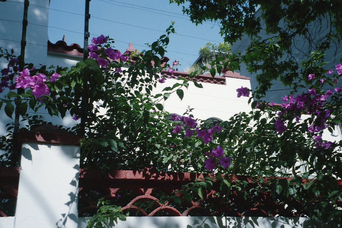 35mmfilmslides tweet media