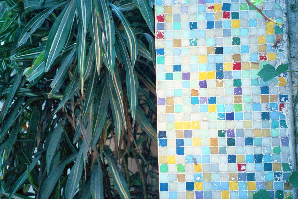 35mmfilmslides tweet media