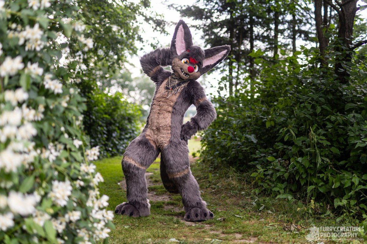 FoxFire (@foxfirecz) on Twitter photo Anyone up for a walk this #FursuitFriday? 🌿 I’ve found a nice path just wide enough for two fluffs walking side by side. Let’s explore it together! 🐾
📸 <a href="/FurCPhoto/">Furry C. Photo</a>
#furry #fursuiter #furryfandom Anyone up for a walk this #FursuitFriday? 🌿 I’ve found a nice path just wide enough for two fluffs walking side by side. Let’s explore it together! 🐾
📸 <a href="/FurCPhoto/">Furry C. Photo</a>
#furry #fursuiter #furryfandom