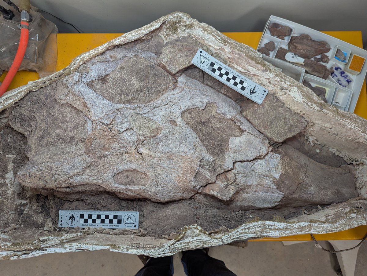 Andrew Milner tweet media