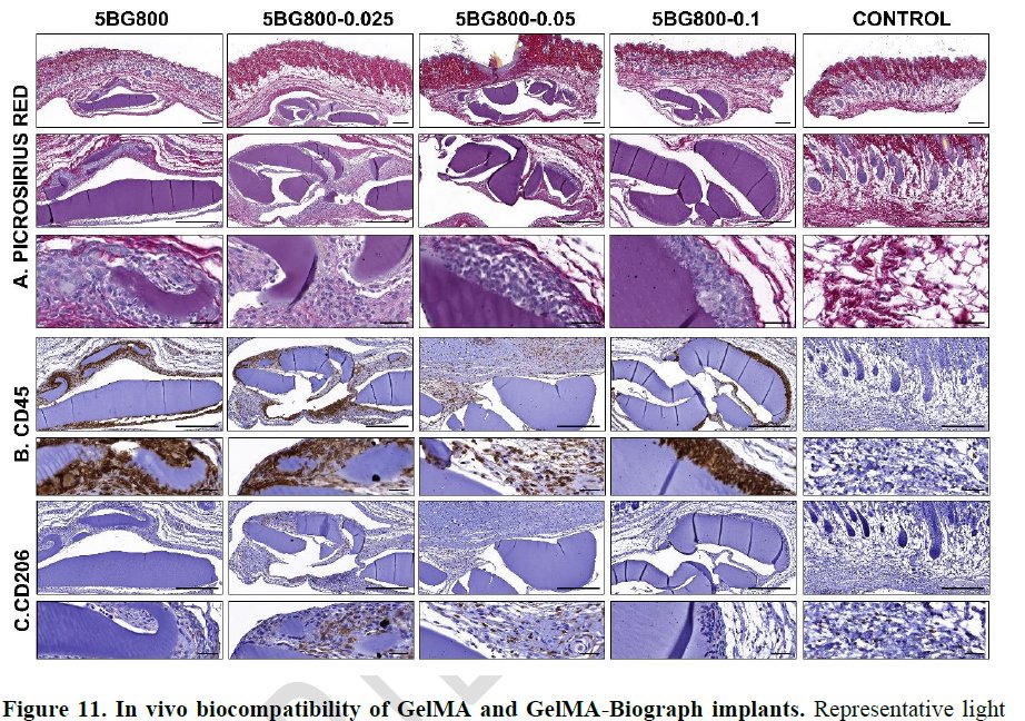 José Manuel Baena, Ph.D. tweet media