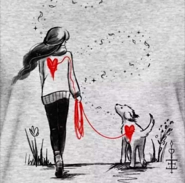 Sofboubou (@sofboubou1) on Twitter photo 