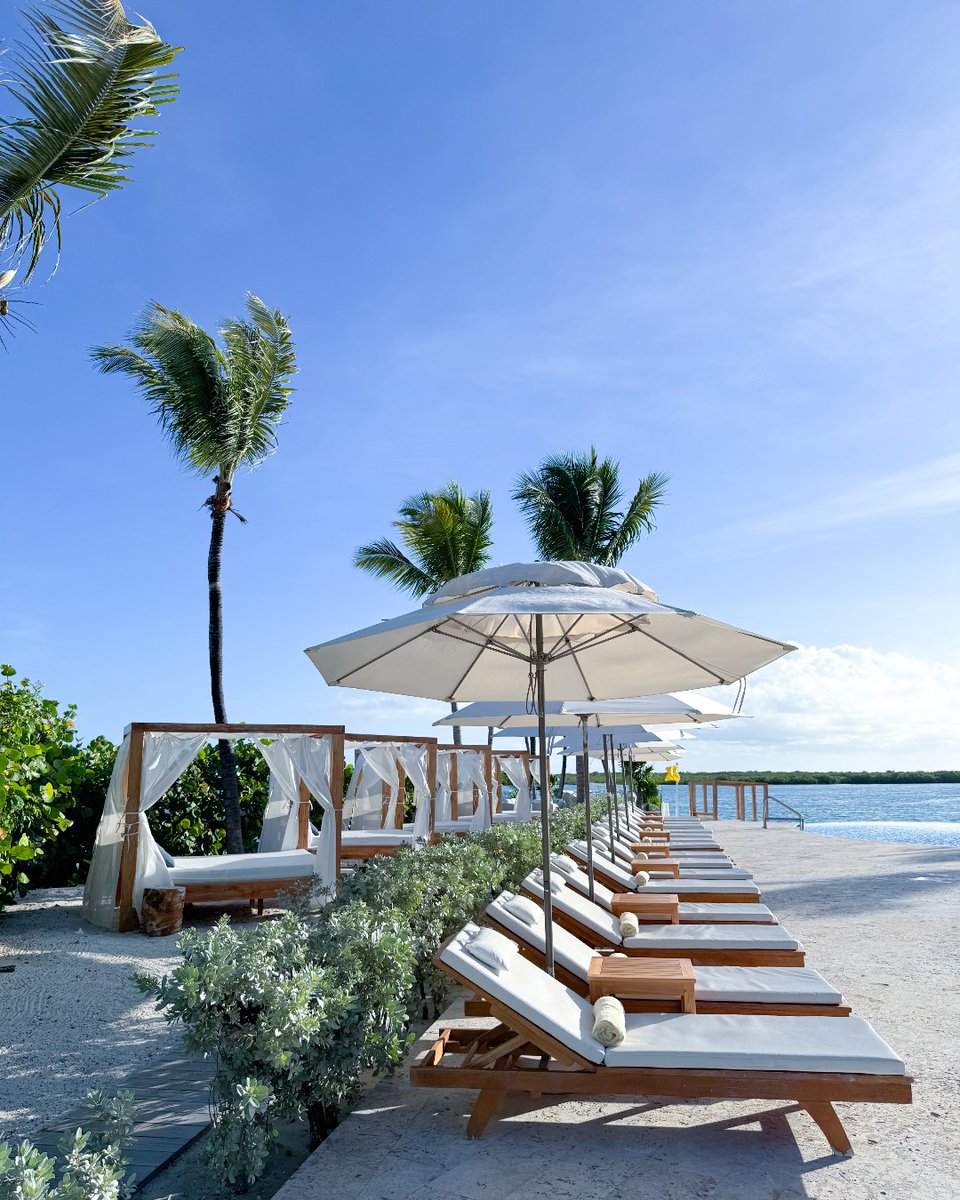 Turks and Caicos Collection tweet media