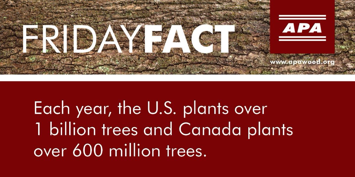 Did you know both the U.S. and Canada have experienced more than 50 consecutive years of net forest growth thanks to responsible forest management? Learn what APA members are doing to protect our treasured forest resources > apawood.ly/bL6Q50USEyE