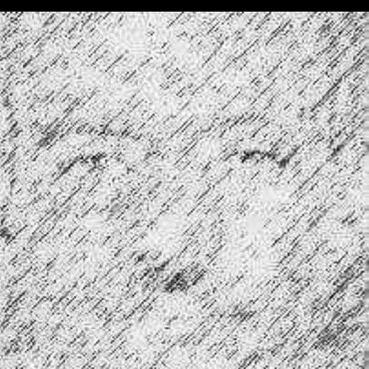 #صورة_ملف_شخصي_جديدة