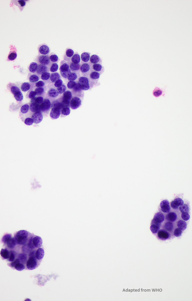 Charlie Herndon tweet media