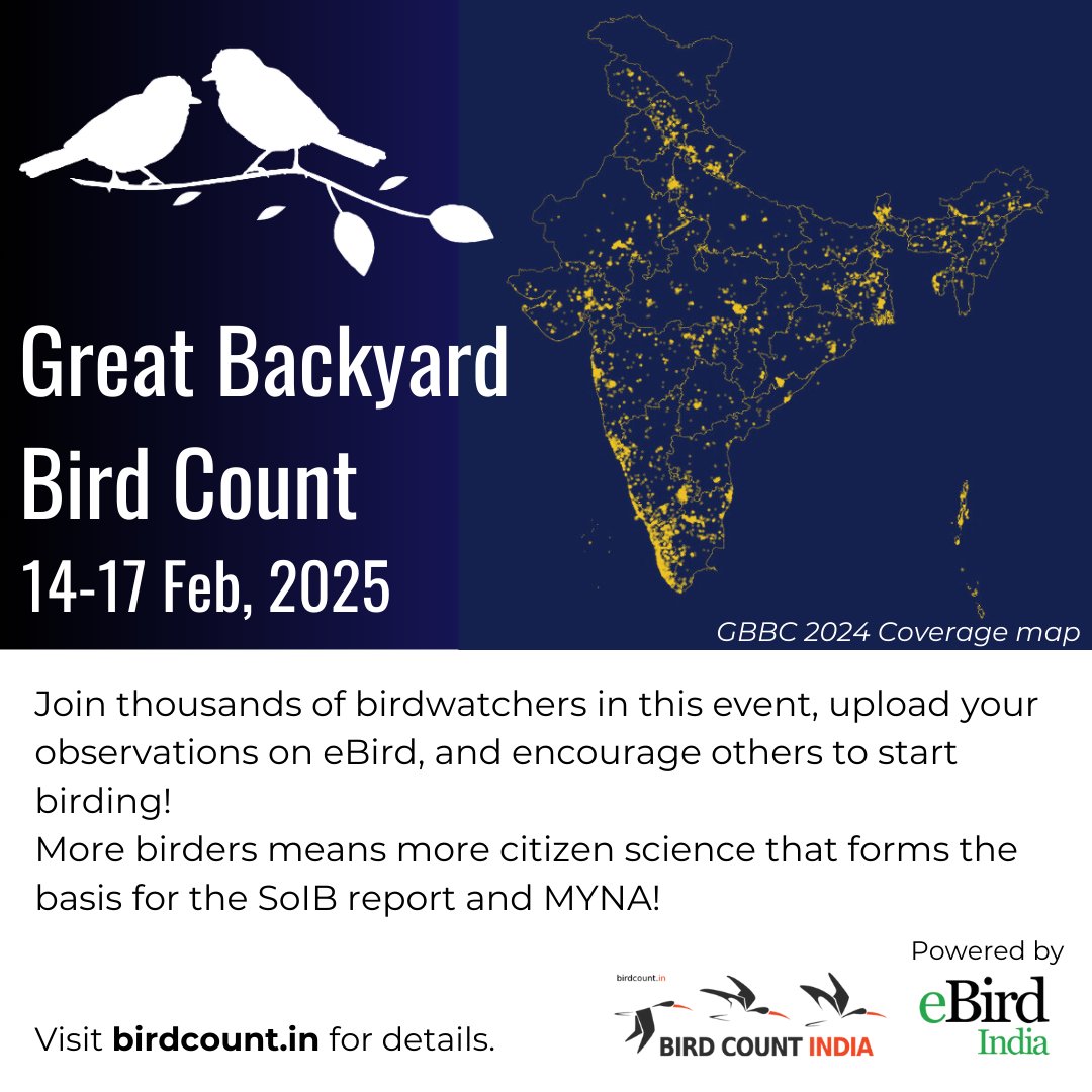 SoIB_India's tweet photo. GBBC is around the corner, and it is time to upload as many checklists as possible, and to encourage more people to start birding!

Participate in this year's event from 14th to 17th Feb.
Details: https://t.co/VCRgbsSKdz https://t.co/1tj03mqFst