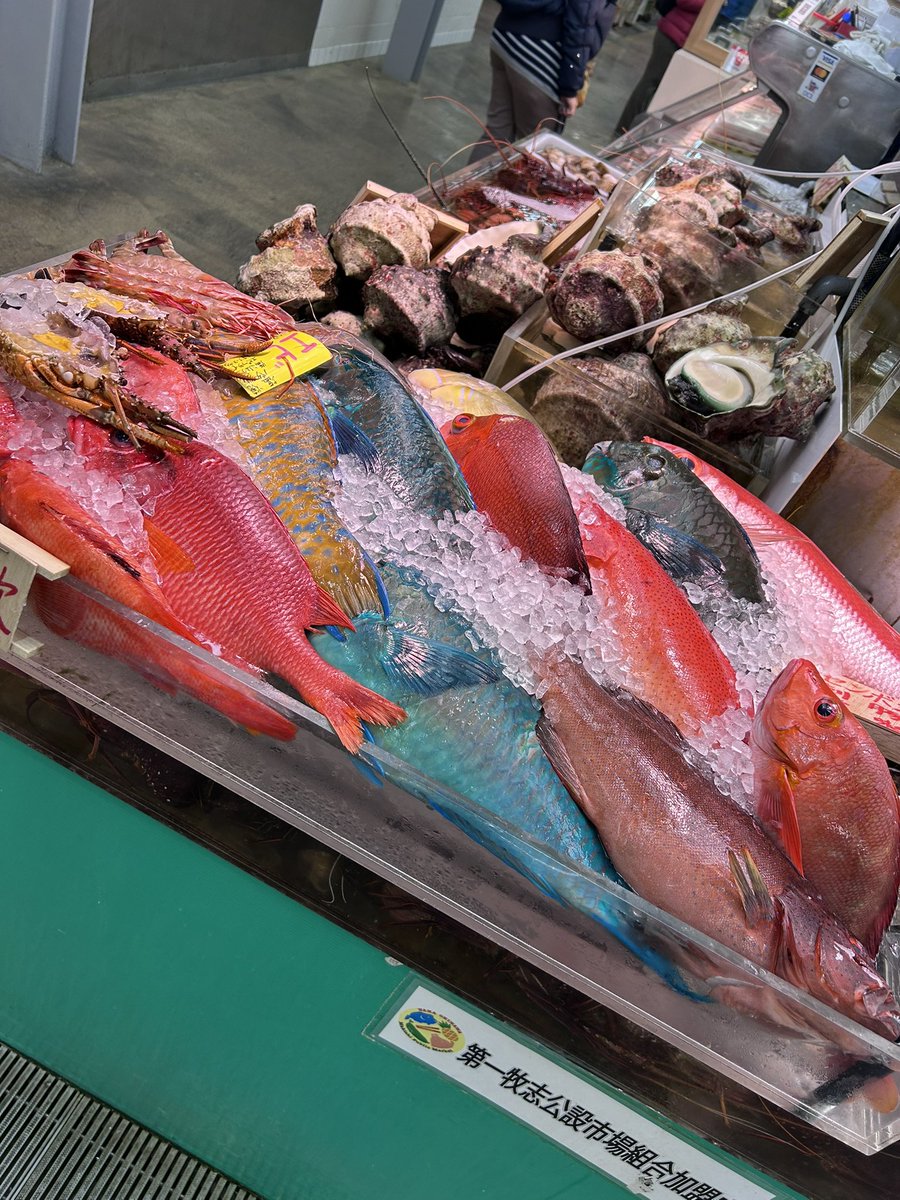 RYUTA MOGI tweet media