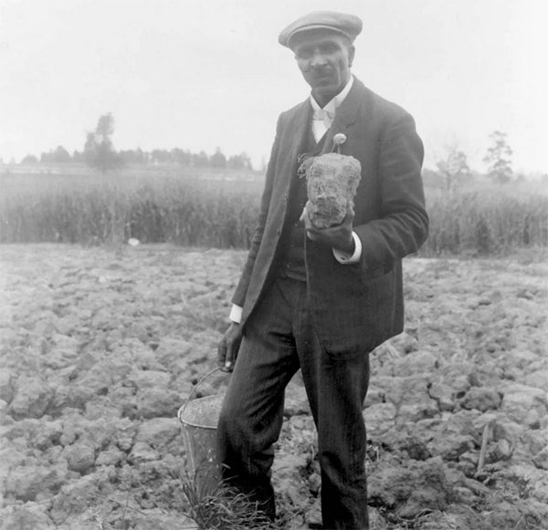 “How far you go in life depends on your being tender with the young, compassionate with the aged, sympathetic with the striving and tolerant of the weak and strong. Because someday in your life you will have been all of these.”

~ George Washington Carver