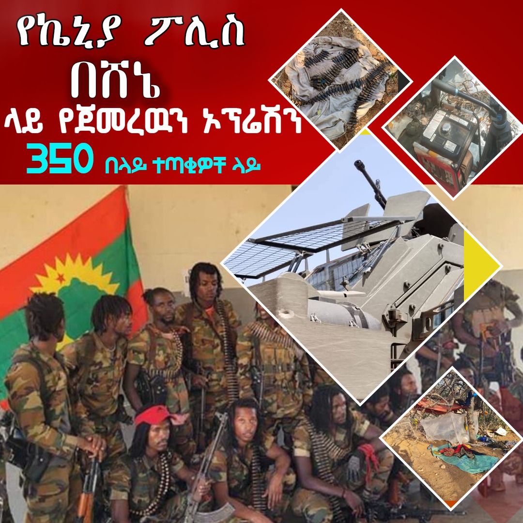 ከሰሞኑ የሸኔ የሽብር ቡድን በከባድ ድንጋጤ ውስጥ ወድቋል! 

 በአለፉት አመታት #ኬንያን እንደ መሸሸጊያ እና የስልጠና ቦታ በማድረግ በንፁሃን ላይ #ዘረፋ እና #ግድያ በመፈፀም የሽብር ተግባር ላይ ተሰማርተው !