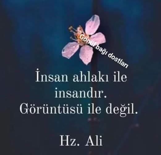 TİYA 🇹🇷🇹🇷ARS🇹🇷🇹🇷RT#EVET tweet media