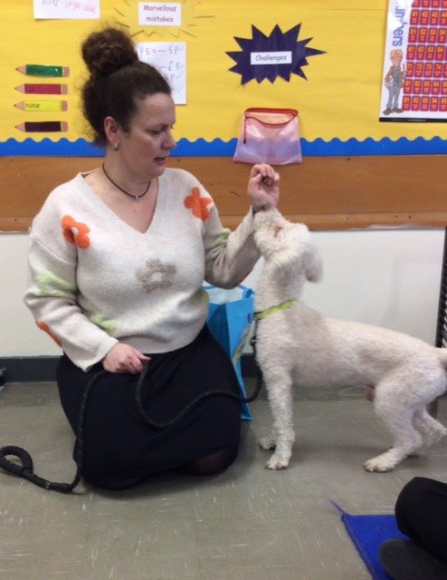 LancotSchool's tweet photo. Year 2 had a special visit from Miss Harris and Watson to learn all about caring for dogs! From diet and health to the amazing benefits of having a furry friend, the children gained some fantastic insights. We can’t wait to see their explanation texts! 📝🐾 #Year2 #FutureWriters https://t.co/xbkGkg0svu