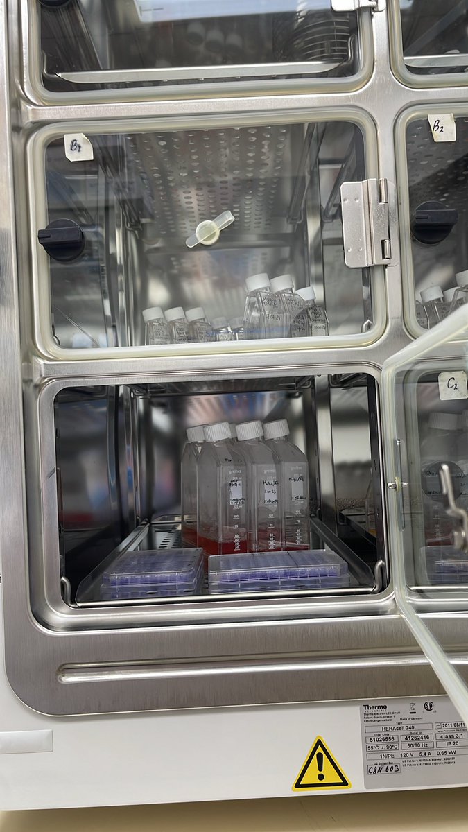 lonay1234's tweet photo. Lab work 🧬🧫🔬 https://t.co/DlGxvUqGN4