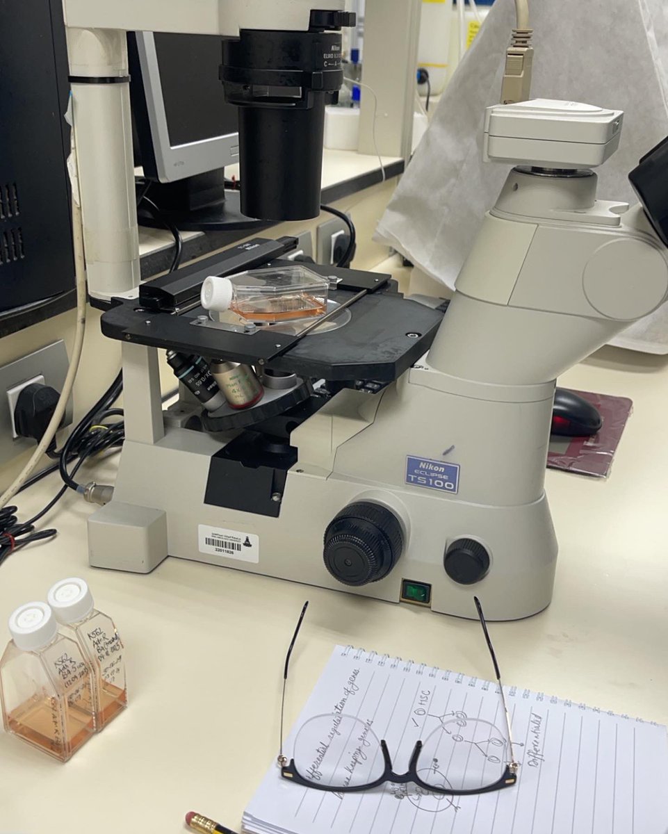 lonay1234's tweet photo. Lab work 🧬🧫🔬 https://t.co/DlGxvUqGN4