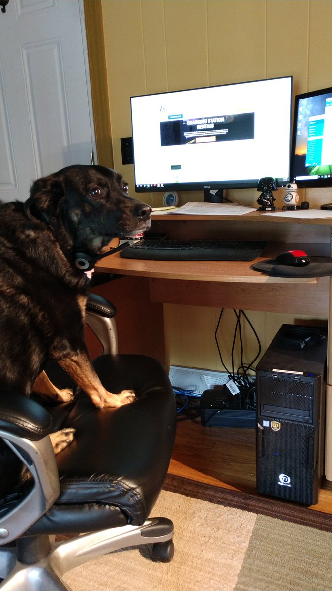rmcincy's tweet photo. Want to play a game? woof woof #happyFriday #eventprofs https://t.co/27Hd41qnrl