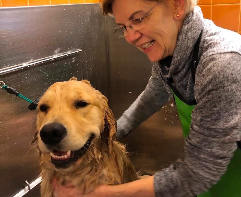 Bailey Warren tweet media