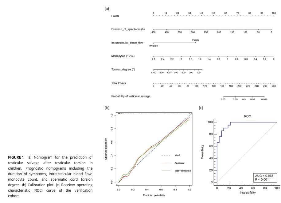 siupurol's tweet photo. ✅️📚 La torsion testicular es una emergencia frecuente en pediatría, cuyo resultado depende del diagnóstico y tratamiento oportuno 🚨

🧑‍⚕️➡️ Acá una revisión para la implementación de índices predictivos de diagnóstico, tratamiento y seguimiento

doi: 10.1111/iju.15420 https://t.co/fDGlinFsWR