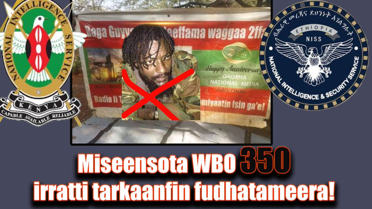 Miseensota WBO 350 irratti tarkaanfin fudhatameera!

Humna WBO filannoo nagaa didee daangaa Keeniyaa fi Boorana giddu buufatee ummata biyyoota lamaanii dararaa ture irratti tarkaanfiin fudhatame  humni WBO naannawa daangaa Booranaa fi Keeniyaatti buufatee ummata biyyoota lamaan!