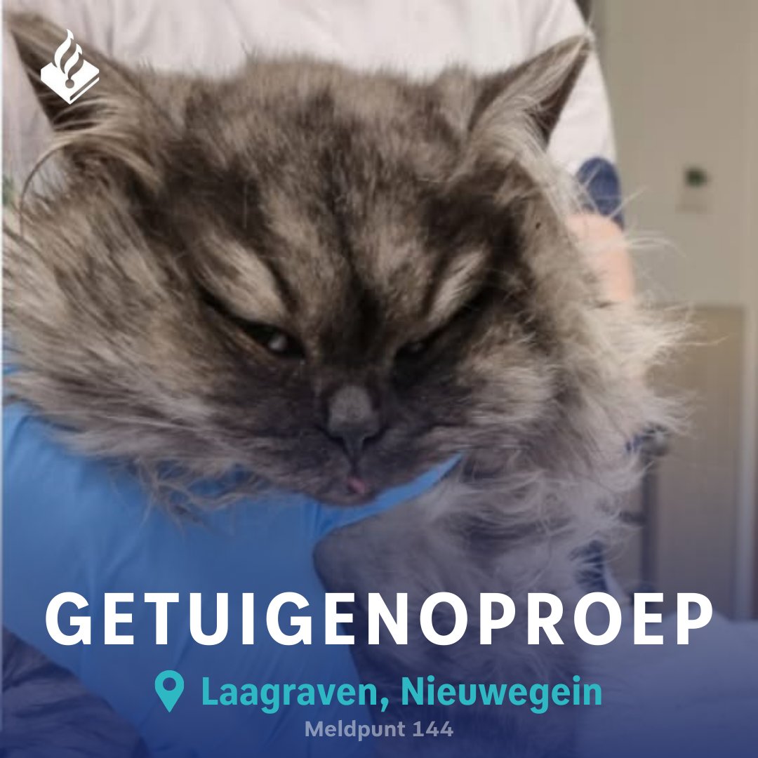 De brandweer kreeg een melding van een bekneld dier en was snel ter  plaatse. Met behulp van een trappetje dat zij mochten lenen van een  buurtbewoner, konden de brandweerlieden bij het dier, image size:1080x1080