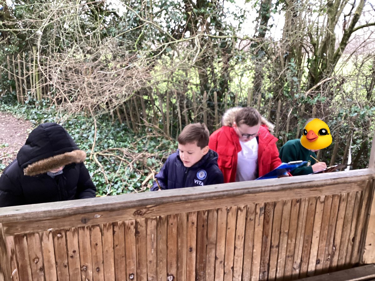 StOswaldsCE's tweet photo. Hummingbirds seeing what species we can find in winter #stoswaldsscience https://t.co/iJyilAjnUE