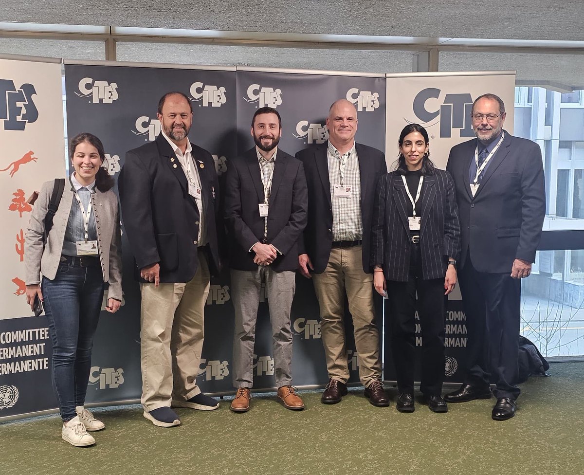 FACEforHunters's tweet photo. π¨ FACE is at the 78th @CITES Standing Committee in Geneva, representing 7 million Europe's hunters π¦π
Weβre here to monitor decisions, defend #SustainableHunting and prevent bad policies from taking hold #CITES78 #FACE4Hunters @SafariClubIntl @CICwildlife @Phasa_1 https://t.co/PMhRRGKST2