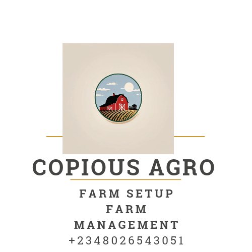 Damilareh's tweet photo. @TonyStarkOfLag FARM SETUP AND MANAGEMENT 

COPIOUS AGRO 
08026543051 https://t.co/WWe4gYTuVS
