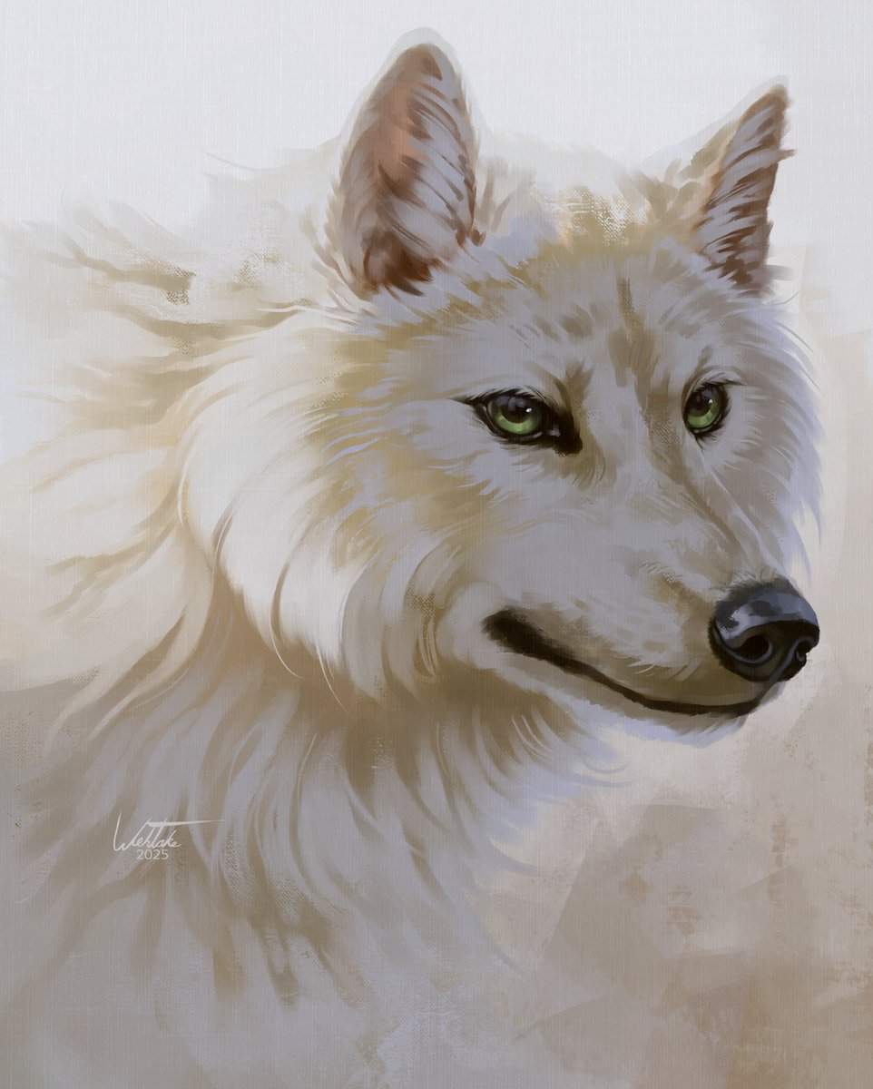 Speedpainted portrait commission 🩶