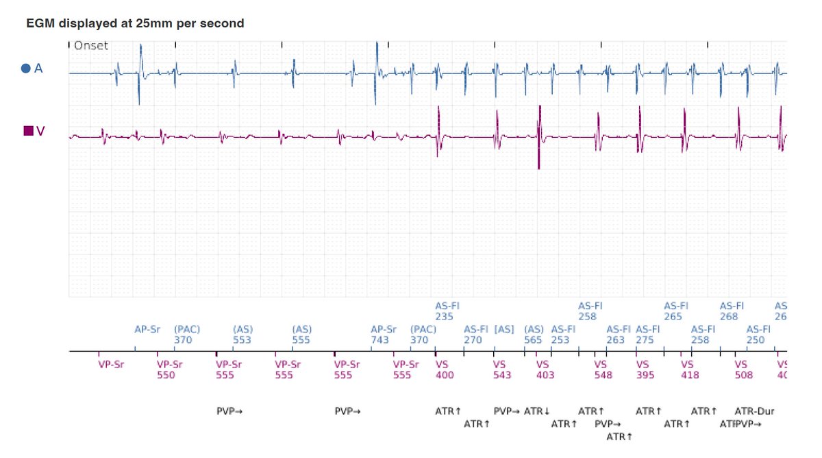 Sergio Pinski tweet media