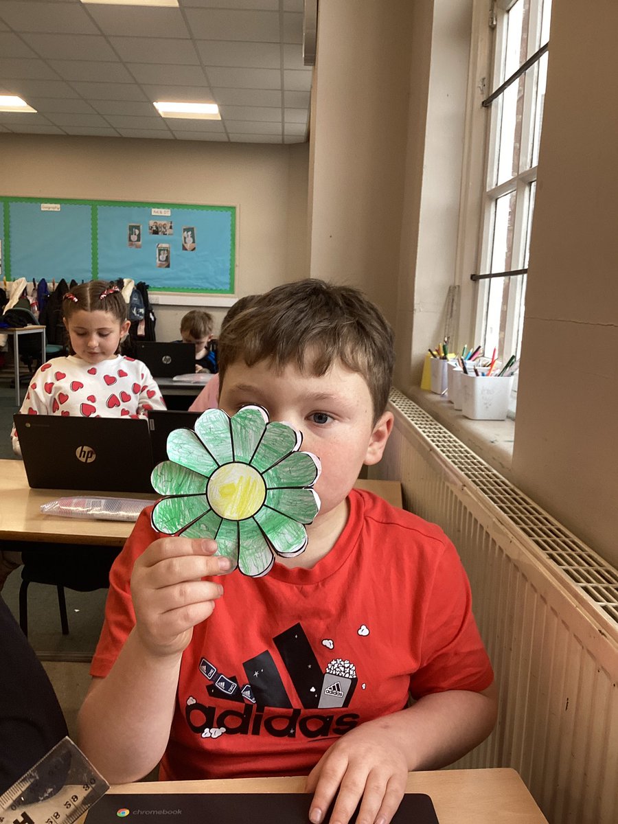 Tang Hall Swallows tweet media