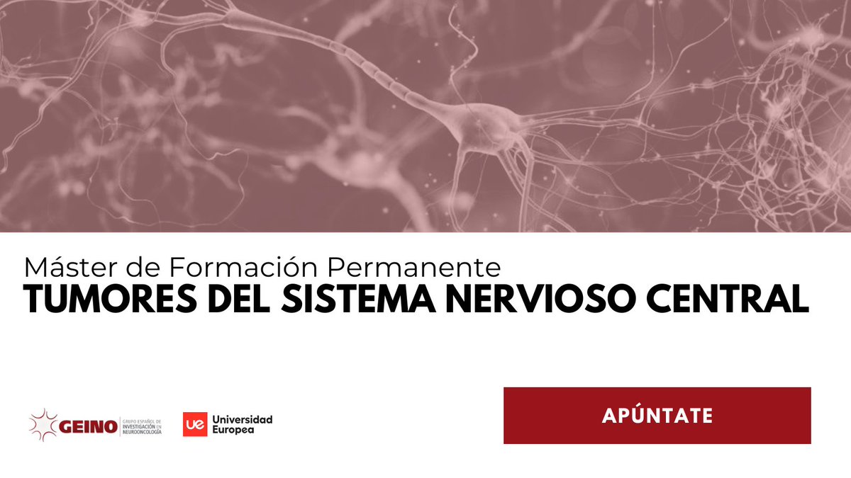 Ponemos en marcha la 2a edición del Máster de Formación Permanente de Tumores del Sistema Nervioso Central, fruto del esfuerzo de colaboración entre <a href="/GrupoGeino/">GEINO</a> y <a href="/UEuropeaOnline/">Universidad Europea Online</a>. Infórmate en universidadeuropea.com/master-tumores…
