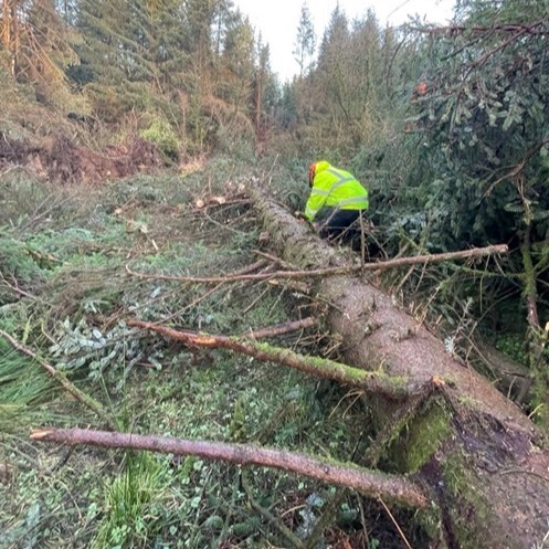 Environment Agency tweet media