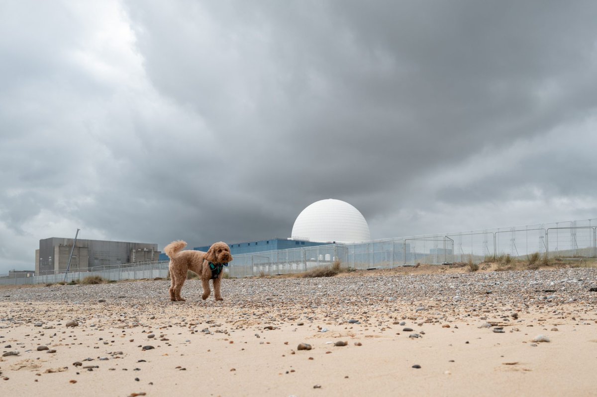 TNOffsite's tweet photo. Starmer to rip up rule book to allow more small nuclear reactors to be built

The government is making “radical decisions” to allow more nuclear projects to be developed in the UK, especially small mod...

Check out the full story 👉 https://t.co/LkKwSyzsYY (@PBC_Today)

#modular https://t.co/Hd4c1vBGRH