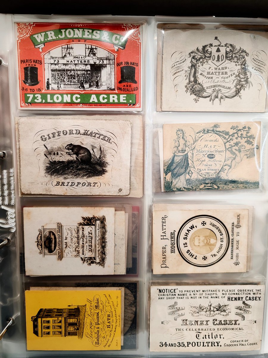 Dr Alice Crossley tweet media