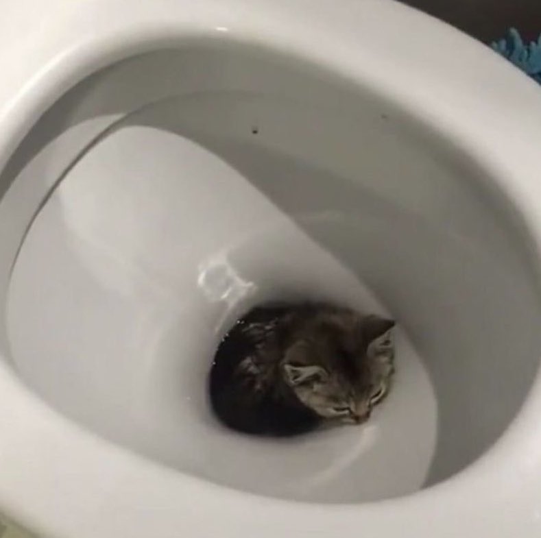 กดช้านลงส้วมที