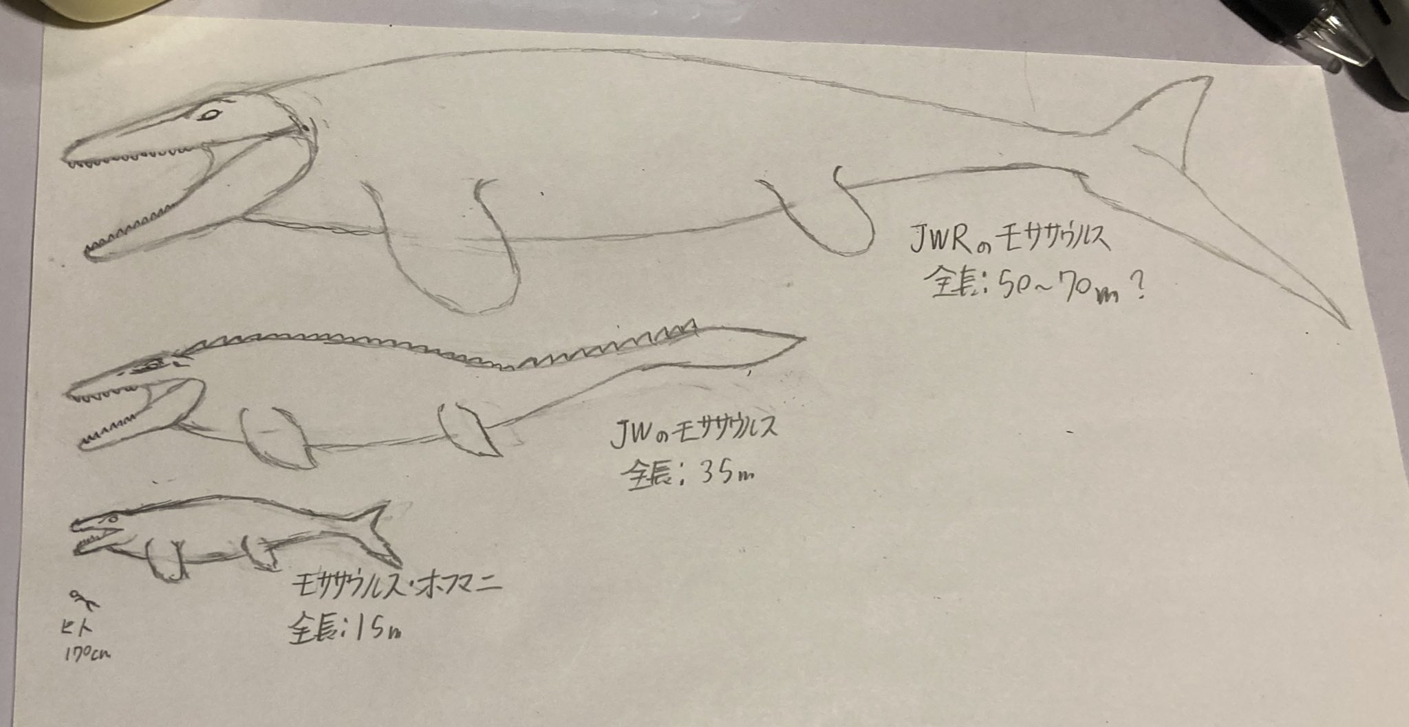 ジンベエー on X: 