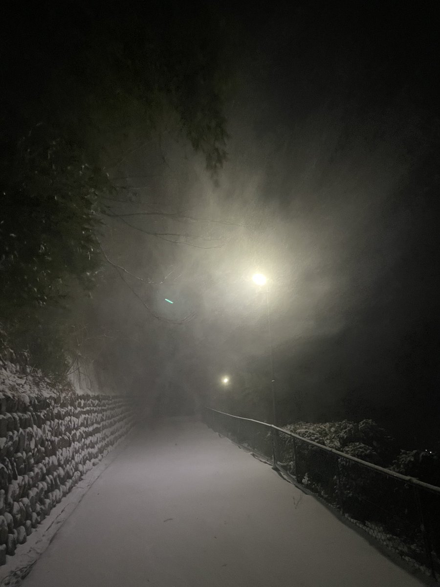 inauho's tweet photo. 今シーズンは雪かきせずに終わるかなと思っていたら、そんなことはありませんでした
水分を感じないサラサラの雪が強風に運ばれてアーケードの下にまで積もっていました
明日の朝の歩行や車の運転に注意が必要な場所もありそうなので、お気をつけて！ https://t.co/G7aFQ1Z8jg