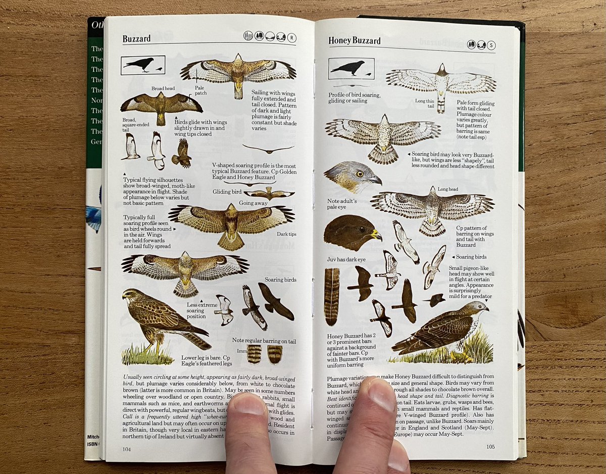 Beachy Head Birder tweet media