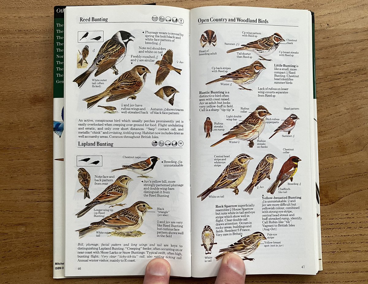 Beachy Head Birder tweet media